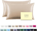 Silk Pillow Cases 2 Pack Soft Breathable and Sliky King Size Pillow Cases Set of 2,Natural Mulberry Silk Pillowcase Set of 2 for Hair and Skin with Hidden Zipper (Champagne,20"X 36",2pcs)