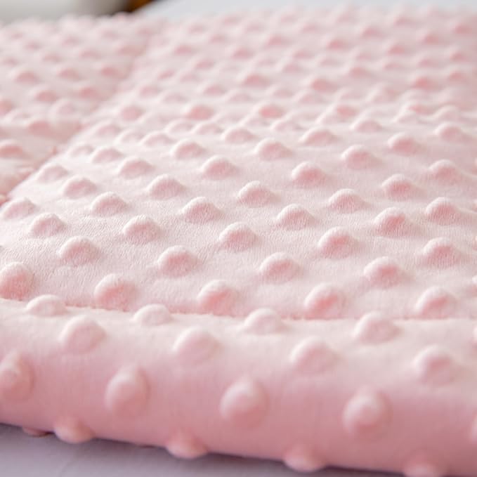 Weighted Blanket with Minky Duvet All Season,Reversible Soft Heavy Weighted Blanket for Adult Pink(5lb,36in*48in)