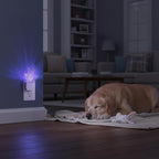 Cute Bunny Night Light (2 Pack), Plug-in, RGB LED Night Lamp with Auto Dusk-to-Dawn Sensor, 9 Colors for Kids Room, Nursery, Bathroom, Baby Shower & Birthday Gift Decor
