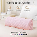 Wemore Minky Dot Weighted Blanket for Adults Queen Size 12 lbs, Soft Cozy Heavy Blanket for Bed and Couch, Breathable Blanket for All-Season with Glass Beads, Pink 60 x 80 inches