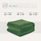 Elegant Comfort Luxury Velvety Feel Blanket, All-Season Lightweight Blanket, Ultra Plush, Soft, Cozy-Fuzzy Flannel Fleece for Couch, Sofa, Bed, Travel, Solid Design, Twin/Twin XL, Green