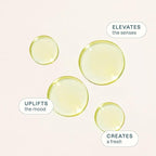 Cliganic Organic Lime Essential Oil for Hair, Skin, Aromatherapy - 100% Pure Natural Undiluted | Non-GMO Verified