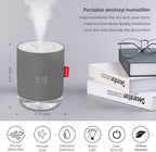 Portable Mini Cool Mist Humidifier, 500ml USB Personal Desktop Humidifier for Baby Bedroom Travel Office Home, Auto Shut-Off, 2 Mist Modes, Super Quiet, Gray