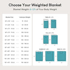 Weighted Blanket 20 lbs for Queen Bed, Flannel Shaggy Sherpa Weighted Blankets for Adults Comfortable Weighted Blankets for Calming and Relax, Bed Sofa Heavy Blankets,60x80 inches,State Blue