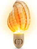 Nautical Crush Trading Seashell Night Light – Beach Night Light with Harpa Shell Light for Bathroom – Sea Shell Lamp – Seashell Lamp Plug Into Wall