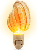 Nautical Crush Trading Seashell Night Light – Beach Night Light with Harpa Shell Light for Bathroom – Sea Shell Lamp – Seashell Lamp Plug Into Wall