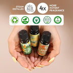 Folkulture Essential Oils for Diffuser for Home | Set of 4 Essential Oil | Diffuser Oils Scented | Essential Oils for Candle Making | Diffusers Fragrance Oils for Soap Making - Seasons