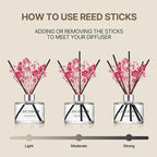COCODOR Preserved Flower Reed Diffuser/Flower Garden/6.7oz/1Pack / Home Fragrance Scent Essential Oil Stick Diffuser for Bedroom Bathroom Home Decor