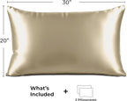 Satin Pillowcase 2 Pack - Queen Size (20"x30", Champagne Gold) - Silky Pillow Cases for Hair and Skin - Satin Pillow Covers with Envelope Closure - Extra Soft Premium Microfiber