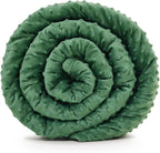 TONGDADA Minky Weighted Blanket | 40''x60'',10lbs | Cozy and Soft Minky Weighted Throw Blanket | Luxury Velvet with Premium Glass Beads | Dark Green Minky