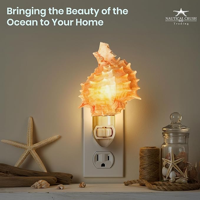 Nautical Crush Trading Seashell Night Light – Beach Night Light with Pink Murex – Shell Light for Bathroom – Sea Shell Lamp – Seashell Lamp Plug Into Wall