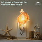 Nautical Crush Trading Seashell Night Light – Beach Night Light with Pink Murex – Shell Light for Bathroom – Sea Shell Lamp – Seashell Lamp Plug Into Wall