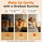 10-60 Mins Simulate Sunrise Alarm Clock: Gentle Wake Up Light with 12 Brightness, 30 Volume, Bright & Loud Enough for Heavy Sleepers - White Noise Machine with 30 Soothing Sounds, Ease of Use