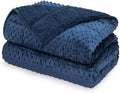 Minky Dot Weighted Blanket for Adults Queen Size 15 lbs, Soft Cozy Heavy Blanket for Stress Relief and Sleep Promotion, Warm Blanket for Autumn Winter with Glass Beads, Navy Blue 60 x 80 inches