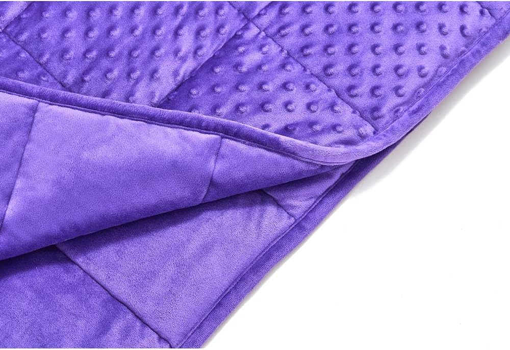TONGDADA Minky Weighted Blanket | 40''x60'',7lbs | Cozy and Soft Minky Weighted Throw Blanket | Luxury Velvet with Premium Glass Beads | Violet Minky