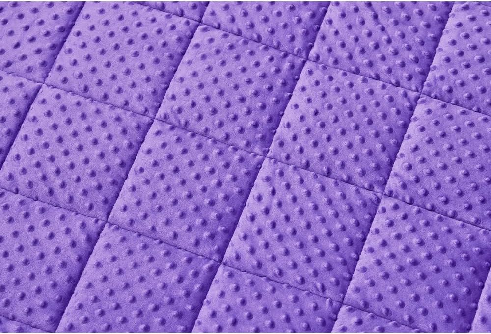 TONGDADA Minky Weighted Blanket | 40''x60'',10lbs | Cozy and Soft Minky Weighted Throw Blanket | Luxury Velvet with Premium Glass Beads | Violet Minky