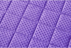 TONGDADA Minky Weighted Blanket | 40''x60'',10lbs | Cozy and Soft Minky Weighted Throw Blanket | Luxury Velvet with Premium Glass Beads | Violet Minky