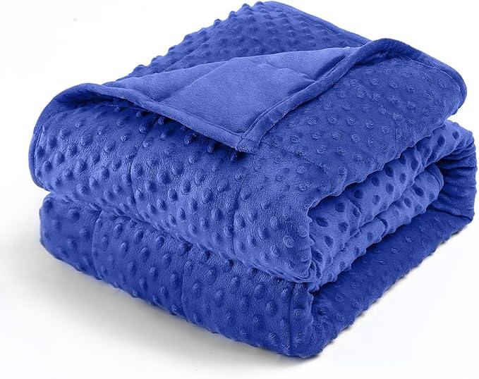 Wemore Minky Dot Weighted Blanket for Adults King Size 25 lbs, Soft Cozy Heavy Blanket for Bed and Couch, Breathable Blanket for All-Season with Glass Beads, Blue 80 x 87 inches