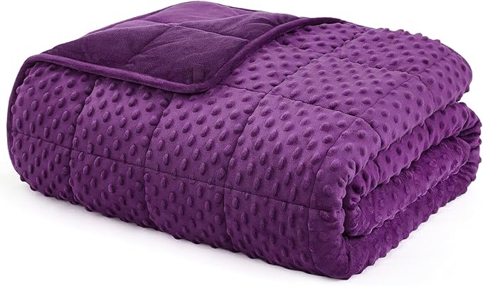 L'AGRATY Weighted Blanket for Adult - 60"x80" 25lbs Minky Dots Heavy Blanket with Glass Beads Soft Breathable for All-Season Summer Fall Winter Thick Comfort for Sleeping