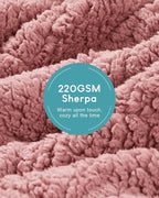 Cottonblue Jacquard Weighted Blanket 20 lbs for Adults Queen Size, Ultra Soft Sherpa Fleece Blanket for Relax and Sleep, Cozy Comfort Heavy Bed Blankets with Glass Beads, 60x80 Inches, Apricot Pink