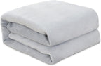 Elegant Comfort Luxury Velvety Feel Blanket, All-Season Lightweight Blanket, Ultra Plush, Soft, Cozy-Fuzzy Flannel Fleece for Couch, Sofa, Bed, Travel, Solid Design, Twin/Twin XL, Silver Gray