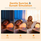Sunrise Alarm Clock with App Control for Heavy Sleepers, Bedroom, Wake Up Light with Sunrise&Sunset Simulation, White Noise Sound Machine with 11 Colors Night Lights, Dual Alarms, FM Radio