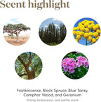 Young Living Valor Essential Oil - Empowering Blend with a Harmonious Blend of Black Spruce, Blue Tansy, Camphor Wood, Geranium, and Frankincense - 5ml Bottle for Courage and Confidence