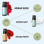 Folkulture Essential Oils Set | 6 Relaxing Fragrance Oils for Diffusers | Green Tea, Cashmere, Ocean Salt and More| Aromatherapy Gift Set for Her, Him | Self-Care Lovers | Self Love Club
