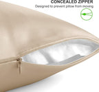 ALASKA BEAR Natural Silk Pillowcase, Hypoallergenic, 19 Momme, 600 Thread Count 100 Percent Mulberry Silk, King Size with Hidden Zipper (1,Champagne Gold)