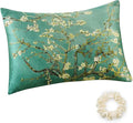 ALASKA BEAR Luxury Silk Pillowcase for Beauty Sleep, Genuine 22 Momme Mulberry Silk Charmeuse Satin Pillow Case Slip for Hair and Skin Face Wellness King Size (1pc, Gift Box)