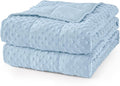 Mr. Sandman Weighted Blanket for Adults, Minky Dots Heavy Blanket for Women, Man Sleeping and Calm, Soft and Cozy Cooling Weighted Throw Blankets, Machine Washable, 48 x 72in, 15 lbs, Light Blue