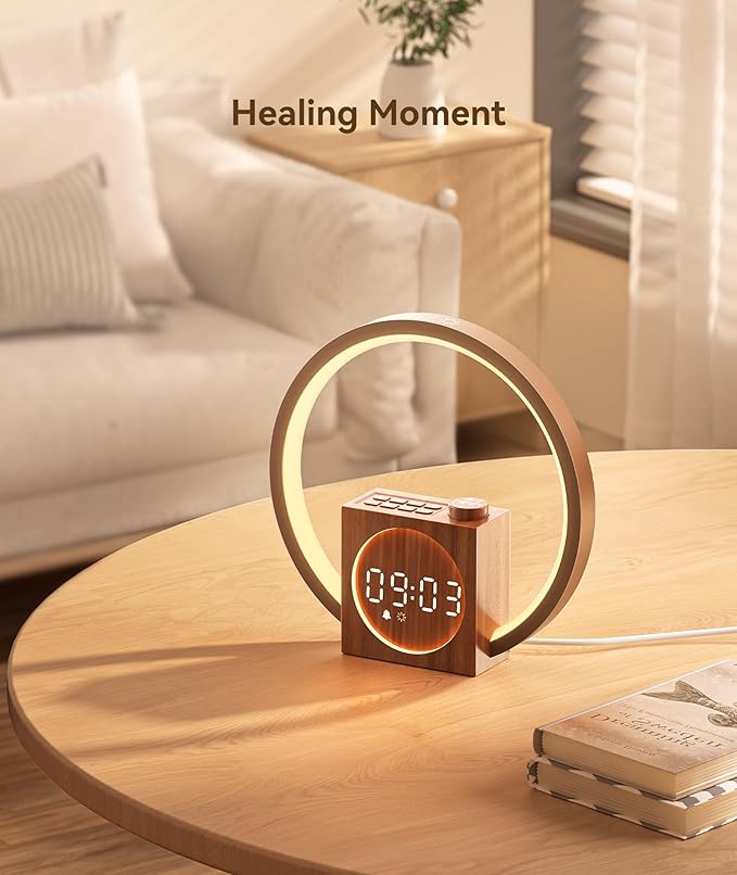 Dreamegg Sunrise Alarm Clock - Sound Machine for Sleep, 12 Ambient Colors &20-Level Dimmable Night Light, 25 Soothing Sounds, White Noise Machine, Wake Up Light for Adults, Stylish Bedroom Decor&Gift