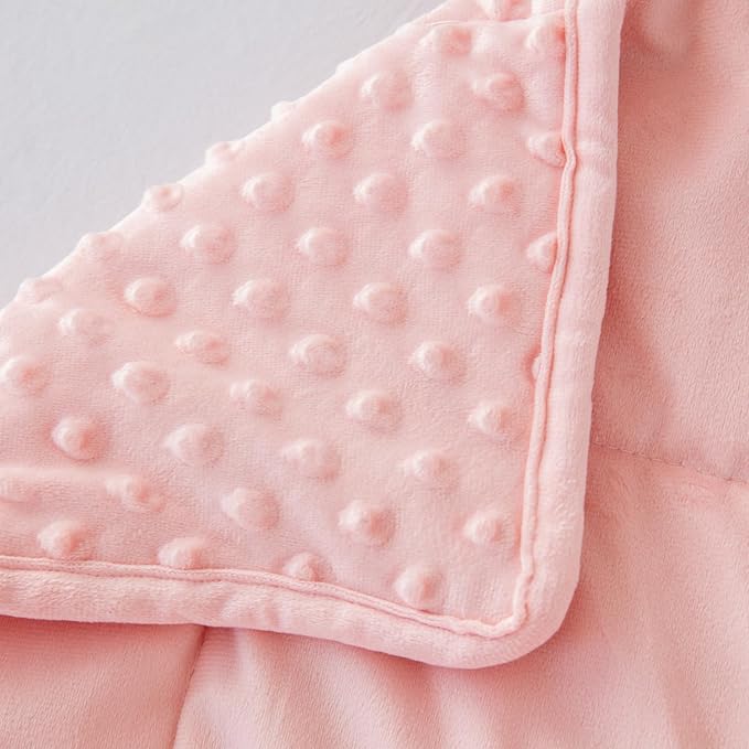 Weighted Blanket with Minky Duvet All Season,Reversible Soft Heavy Weighted Blanket for Adult Pink(5lb,36in*48in)