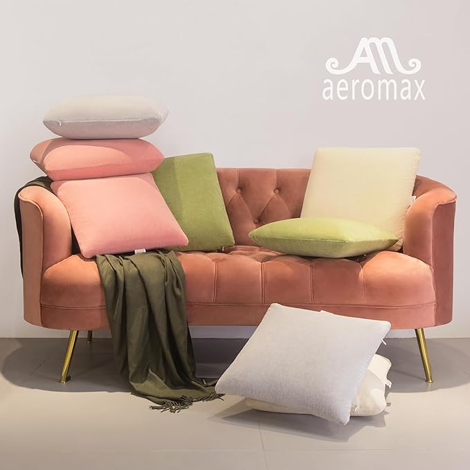 AM AEROMAX 18x18 Inch Memory Foam Pillow Insert, Firm & Fluffy Square Throw Pillow for Couch and Bed, Premium Decorative Stuffer, Heavy Duty & Non-Flattening