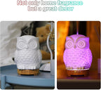 Owl Ceramic Aromatherapy Diffuser INRORANS 160ml Stone ultrasonic Cool Mist Scent Essential Oil Diffuser Humidifier with Intermittent Mist & LED 7 Colors Changing Night Light for Bedroom Office Home