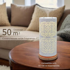 Earnest Living Waterless Diffuser 100ml Nebulizing Diffusion System for Large Ambient Space Studio Home Office Hotel Spa