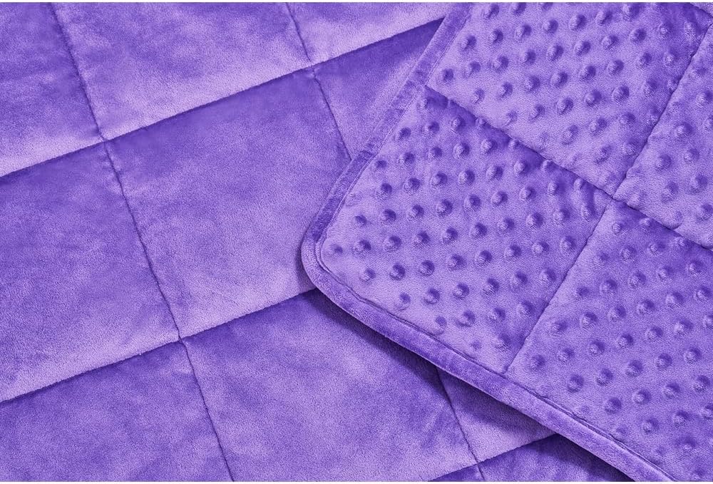 TONGDADA Minky Weighted Blanket | 40''x60'',10lbs | Cozy and Soft Minky Weighted Throw Blanket | Luxury Velvet with Premium Glass Beads | Violet Minky