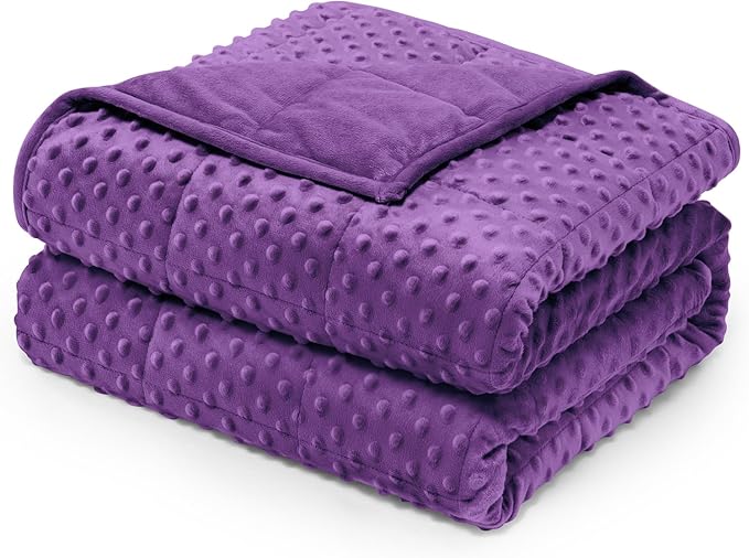 Wemore Minky Dot Weighted Blanket for Adults Queen Size 15 lbs, Soft Heavy Blanket for Stress Relief and Sleep Promotion, Breathable Blanket for All-Season with Glass Beads, Purple 60 x 80 inches