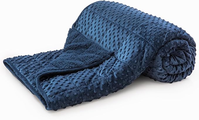 Minky Dot Weighted Blanket for Adults Queen Size 15 lbs, Soft Cozy Heavy Blanket for Stress Relief and Sleep Promotion, Warm Blanket for Autumn Winter with Glass Beads, Navy Blue 60 x 80 inches
