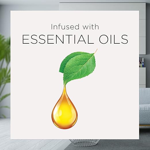 Air Wick Essential Mist Refill, 5 ct, Apple Cinnamon, Essential Oils Diffuser, Air Freshener (Pack of 2)