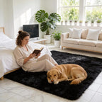 Shag Black Rug, 4x6 Area Rug for Dorm Bedroom Living Room, Non-Slip Ultra Fluffy Soft Area Rugs for Kids Room, Girls Room, Study, Office, Playroom, Easy to Clean, Modern Carpet Décor