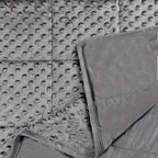 ALANSMA Reversible Weighted Blanket for All Season, Luxury Velvet, Warm and Cool, Adult 5Lb Grey Weighted Blanket, Enjoy Sleeping Anywhere(Grey,35"x48" 5.5lbs)