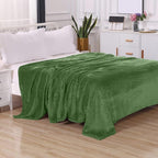 Elegant Comfort Luxury Velvety Feel Blanket, All-Season Lightweight Blanket, Ultra Plush, Soft, Cozy-Fuzzy Flannel Fleece for Couch, Sofa, Bed, Travel, Solid Design, Twin/Twin XL, Green