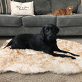Asrug Soft Faux Fur Pet Mat Plush and Fluffy Dog Rug Ultra Cozy Pet Throw Rug for Dogs Cats, Luxury Soft Faux Sheepskin Chair Cover Seat Dog Rug Bed Shag Fur Area Rugs, Brown & White, 3ftx5ft