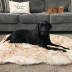 Asrug Soft Faux Fur Pet Mat Plush and Fluffy Dog Rug Ultra Cozy Pet Throw Rug for Dogs Cats, Luxury Soft Faux Sheepskin Chair Cover Seat Dog Rug Bed Shag Fur Area Rugs, Brown & White, 3ftx5ft