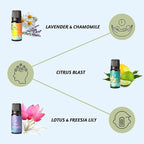 Folkulture Essential Oils Set for Diffuser | Set of 6 Everyday Aromatherapy Oils | Palo Santo, Lavender, Sandalwood, Citrus & Balanced Blend Oils | AM to PM Home Fragrance Oils & Wellness Gift Set