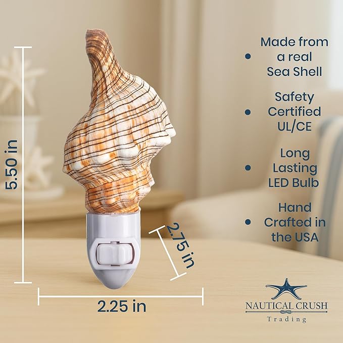 Nautical Crush Trading Seashell Night Light – Beach Night Light with Real Fox Sea – Shell Light for Bathroom – Sea Shell Lamp – Seashell Lamp Plug Into Wall