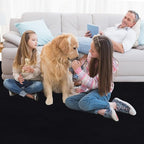 Faux Rabbit Fur Rug 4x6 Fluffy Black Rug for Bedroom Nursery Sofa Carpet for Living Room Fuzzy Washable Area Rug