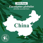 Handcraft Blends Eucalyptus Essential Oil – 1 Fl Oz – 100% Pure and Natural – Premium Grade Essential Oil for Diffuser and Aromatherapy, Skin, Massage, Candle and Soap Making Fragrance