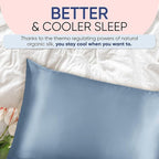 Blissy Silk Pillowcase - 100% Pure Mulberry Silk - 22 Momme 6A High-Grade Fibers - Silk Pillow Cover for Hair & Skin - Regular, Queen & King (Ash Blue, Queen)